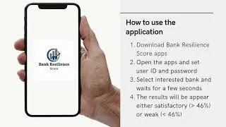 Bank Resilience Score (BRS)