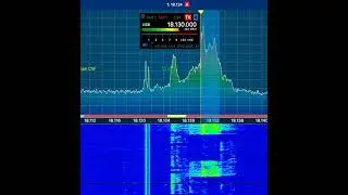 Watch R4KM 17meters 2022.11.26