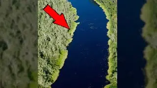 Something TERRIFYING lurks in this Australian river