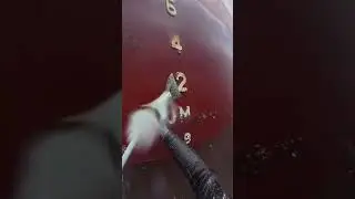 Draught marking cracks manual cleaning #deepsea #sea #ship