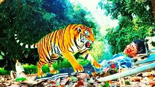 tiger attack man in the forest 🐅| tiger attack in jungle, royal bengal tiger attack