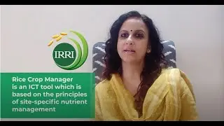 [IRRI Digital Tools] Rice Crop Manager #RCM