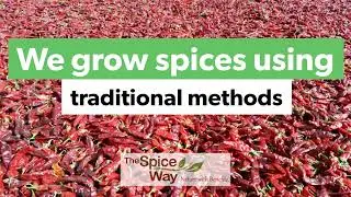Farm to Table Spices, No Preservatives, No Additives, No Fillers | The Spice Way
