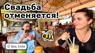 🐝 64. Свадьба отменяется ! Кафе Оса в Морджиме – балийский стиль и выставка баньянов. 
