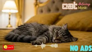 12 Hour Of Calming Cat Music &ndash; Anti-Anxiety Sounds for Happy and Calm Cats