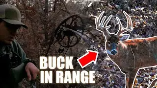 BIG BUCK at 3 YARDS!!! Best Season Ever (LATE Rut Bowhunting) | FAIRCHASE #hunting #deer