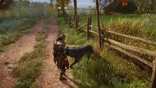 Free an animal Wolf: AC Valhalla