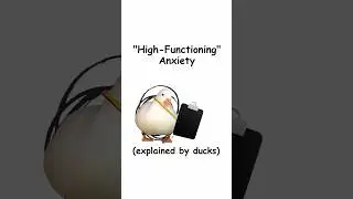 High functioning anxiety (explained by ducks)