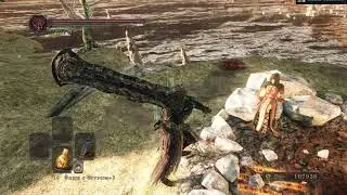 So cute... | Emerald Herald | Dark Souls II: Scholar of the First Sin