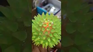 Spike Ball #shorts #short #viral #youtubeshorts