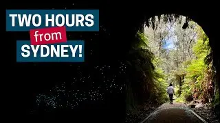 Glow Worm Tunnel | Lithgow Lookouts - Epic 4x4 Weekend Adventure