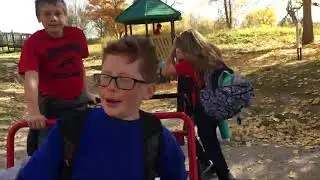 Wild species at the zoo