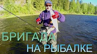 БРИГАДА НА РЫБАЛКЕ.  Река Чусовая - щуки, голавли, жерех, окуни