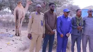 Xildhibaan Xasan Daa'uud 