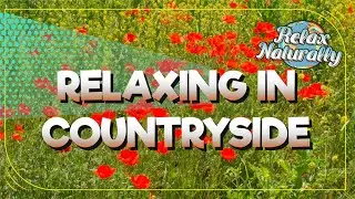 Relaxing in countryside in Greece - Only nature sounds