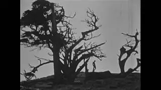 Soul of the Cypress - Dudley Murphy (1921) [Experimental Soundtrack: Remo De Vico]