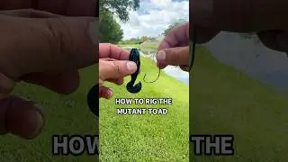 How to read the mutant toad. Link is in my bio! #urbanfloridafishing #bassfishing #fishing