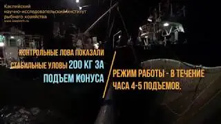 ФГБНУ 