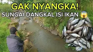 SPOT SUNGAI DANGKAL BERPOTENSI! Mancing ikan wader & uceng di sungai hulu jambe