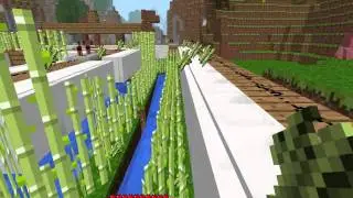 Automatic Reed Farm with Pistons