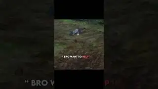 Anime - takt op destiny
