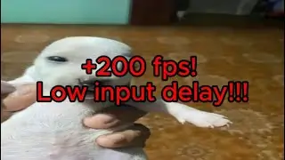 Tweaks for Fortnite (Nvidia)! +200 fps  + Lower input delay!