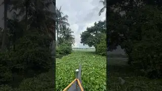 #kochi #backwater #travel #crewlife #layover #nature #love #peace #youtubeshorts