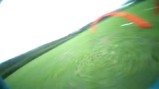 RaceFlow FPV LDRC
