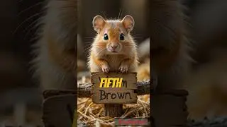 Top 10 most famous gerbils on earth!#trending #gerbils #facts #shorts
