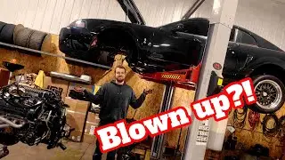 How much oil should your mustang burn, does it need a rebuild?
