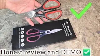 Best kitchen scissors shears 2025
