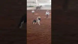 ni&ntilde;o  4 a&ntilde;os Jineteando Charreada