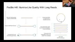 Introduction to sequencing technologies and algorithms for T2T genomes