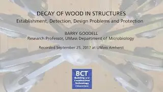 Decay of Wood in Structures: Establishment, Detection, Design Problems and Protection