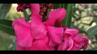 view of kotli-nature everywhere