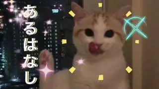 魔法の本よりで11才が編集してみた。＃11才＃小学生編集＃編集＃猫＃癒し＃魔法の本より