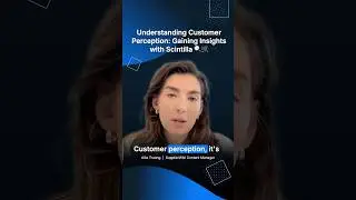 Understanding Customer Perception: Gaining Insights with Scintilla 🔍🛒