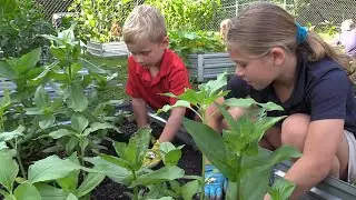 School Garden | Okatie Elementary School 🌱🌻🍅