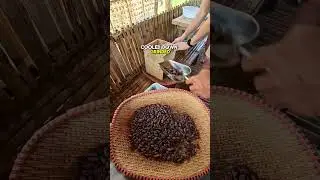 How they make chocolate in the Philippines #boholchocolatefarm #boholphilippines