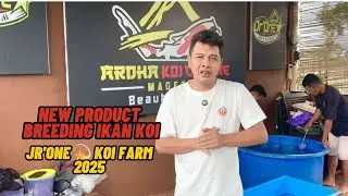BREEDING TERBARU‼️GEN 10💥Jr&rsquo;One💫 Koi Farm Magetan #koi #koilovers
