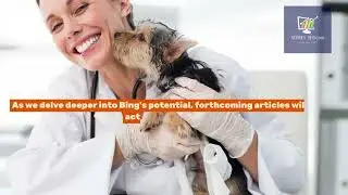 Can Bing Put Your Vet Clinic on the Map?