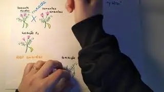 OS EXPERIMENTOS DE MENDEL