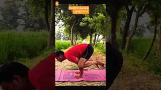 Kukkutasana