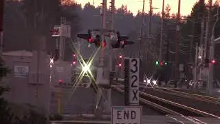 (1/17/2026) Siemens amtrak #383 (1404)