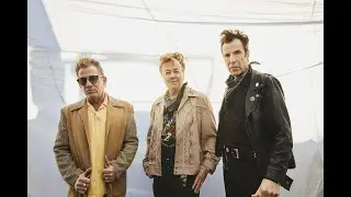 Stray Cats - 40 (EPK)