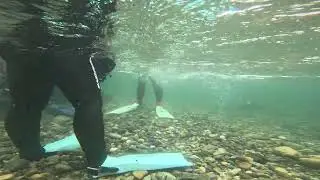 長良川でリバーダイビング エントリー場所も結構流れてます