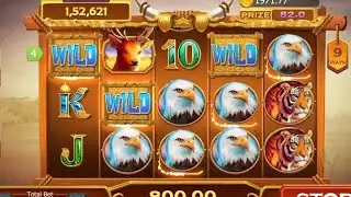 Wealth Super #jackpotgame #safariofwealthtrickteenpattimastersafariofwealthtrick teenpattimaster 👇🖇️
