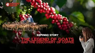 The Legend of Goats and the Discovery of Coffee