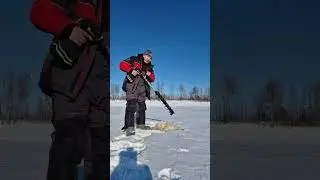 Тест пластикового китайского шнека (безымянный) и пластикового шнека kimoto.
