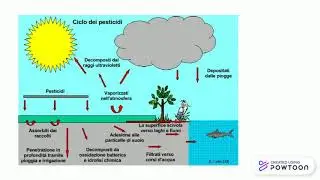 PESTICIDI E SOSTANZE CHIMICHE